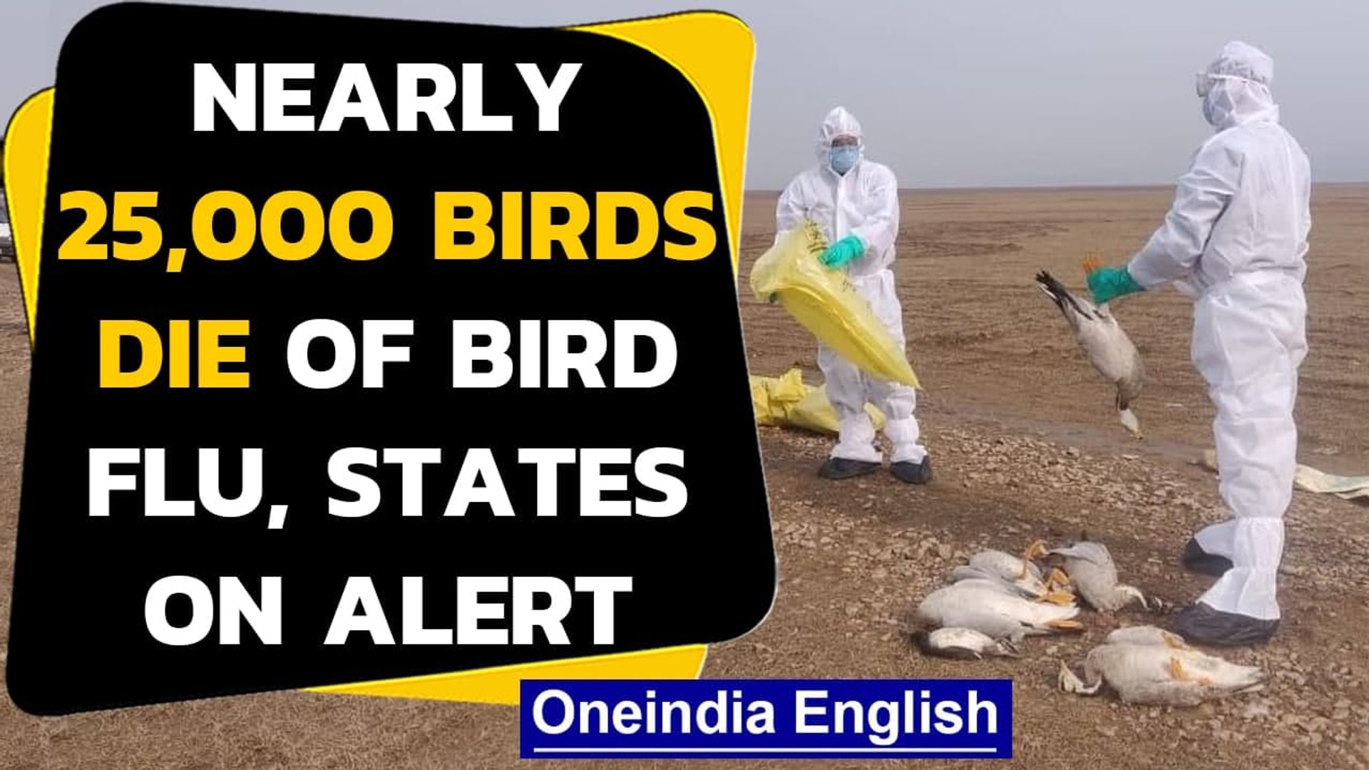⁣Bird flu alert sounded in several states as thousands of birds found dead | Oneindia News