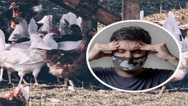 Bird Flu in India:बर्ड फ्लू के इन लक्षणों को न करें नजरअंदाज ।बर्ड फ्लू के लक्षण।Bird Flu Symptoms