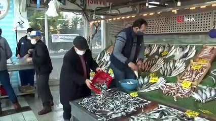 Küçük boylu hamsileri avlamayalım çağrısı: Erken yakalanması gelecek için riskli