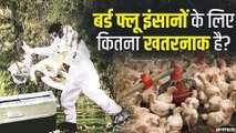 क्या है Bird Flu, ये कैसे फैलता है और इंसानों के लिए कितना बड़ा खतरा है | Bird Flu in India