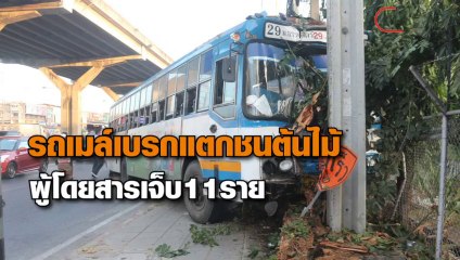เจ็บระนาว! รถเมล์ 29 เสียหลักชนต้นไม้ข้างทาง คนขับอ้างเบรกแตก-หักหลบ จยย.