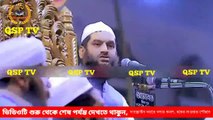 বাংলাদেশ কোন সালে দুইজন সরকার ছিল_  আল্লামা মামুনুল হক || In which year Allama Mamunul Haque had two governments in Bangladesh