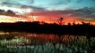 Relaxing Nature Sound-Meditation Music-Panorama Sunset View in Rice fields