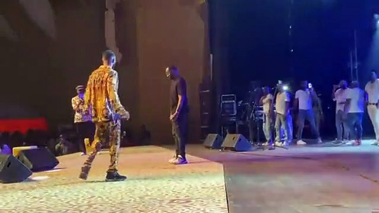 GIMS_FAIT_UNE_SURPRISE A FALLY_IPUPA
