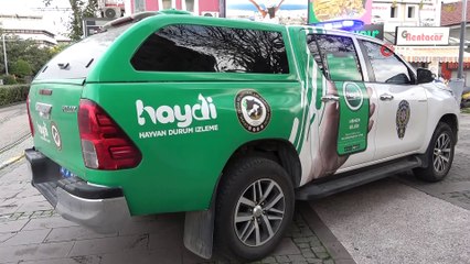 Kedi ve köpekler onları görünce esas duruşa geçiyor