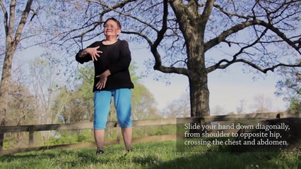 Qigong Self-Massage_| Body & Limbs