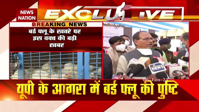 Madhya Pradesh: MP में सभी मीट की दुकानें रहेंगी बंद, बर्ड फ्लू के चलते सरकार का फैसला