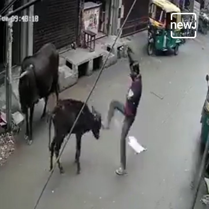 Man Violently Beat Up Calf, Delhi Police File FIR And Arrest Him