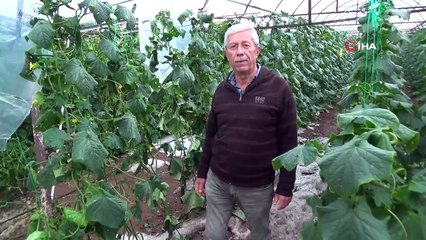 Serası dolu nedeniyle zarar gören kadın çiftçinin tepkisi ”Patlıcan pahalı diyorlar, halimize baksınlar”