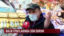 Bursa Balık Pazarı'ndaki güncel fiyatları OLAY araştırdı...