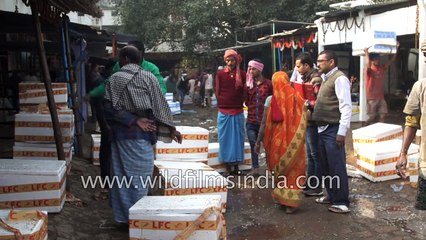 Wholesale fish market in Hajipur, BIhar