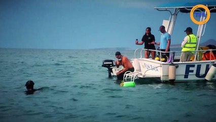 Il bat le record de distance parcourue sous l'eau sans respirer