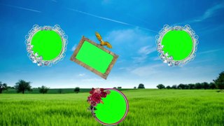 Weddings Green Screen Animation Video । Marriage_background_latest_hindi_green_screen_videos । Sadi_background_Indian_shadi