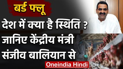 Bird Flu : Sanjeev Balyan ने चेताया, बोले- कोई इलाज नहीं, बरतें हर सावधानी | वनइंडिया हिंदी