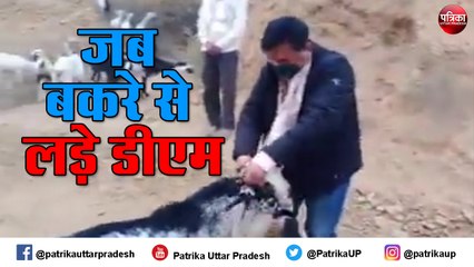 जब बकरे से लड़े डीएम, बोले मैं भी जिले का राजा हूँ