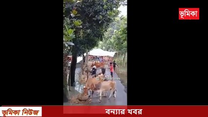 বাংলাদেশের বন্যার ভয়াবহতা _ Flood in Bangladesh HD _ বাংলাদেশে বন্যার তীব্রতা ও বন্যা Vumika News