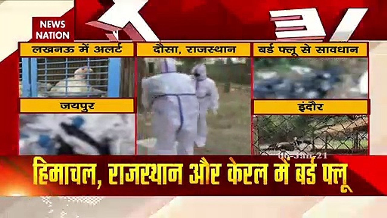 Bird Flu: बर्ड फ्लू के चलते केरल में 10 हजार पक्षियों को मारने का आदेश, देखें रिपोर्ट