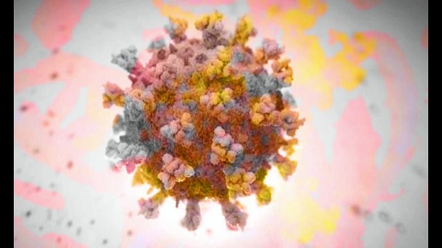 Indian warplane crashes near Pakistani border پاکستانی سرحد کے قریب بھارتی جنگی طیارہ گرکر تباہ Talks between Kabul government and Taliban begin in Qatar قطر میں کابل حکومت اور طالبان کے درمیان مذاکرات کا آغاز