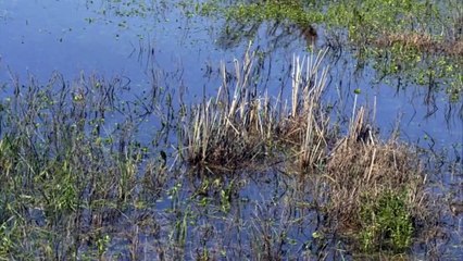 Οι αγρότες της Ανθήλης διαμαρτύρονται για τις αποζημιώσεις από τον Ιανό