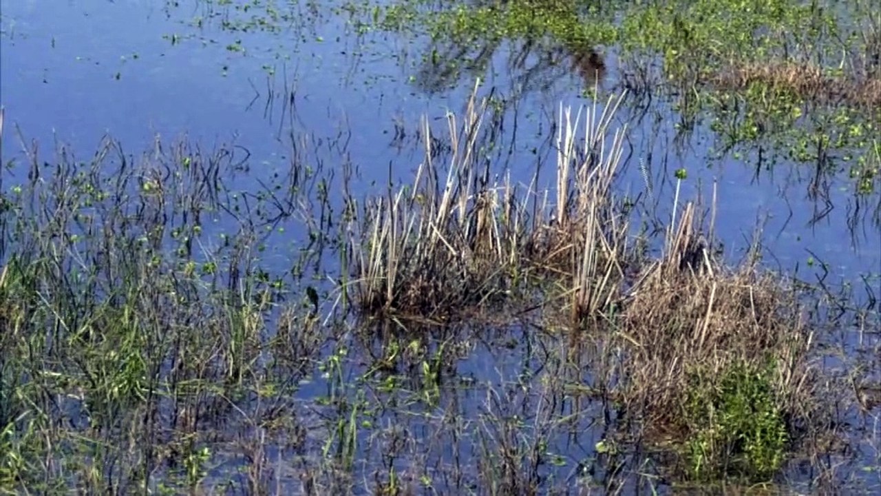 Οι αγρότες της Ανθήλης διαμαρτύρονται για τις αποζημιώσεις από τον Ιανό