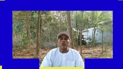 আপনি কি নিরামিষ খাবার খান তাহলে অতি অবশ্যই গ্রহন করুন এই খাবার