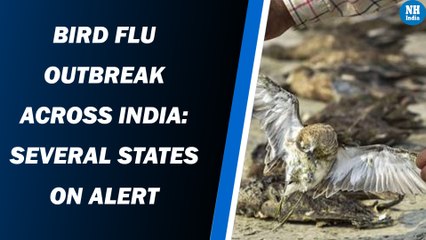 Bird Flu outbreak across India: Several states on alert