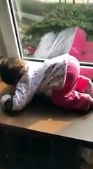 In Case You Needed To See Something Beautiful Today - MaSha Allah