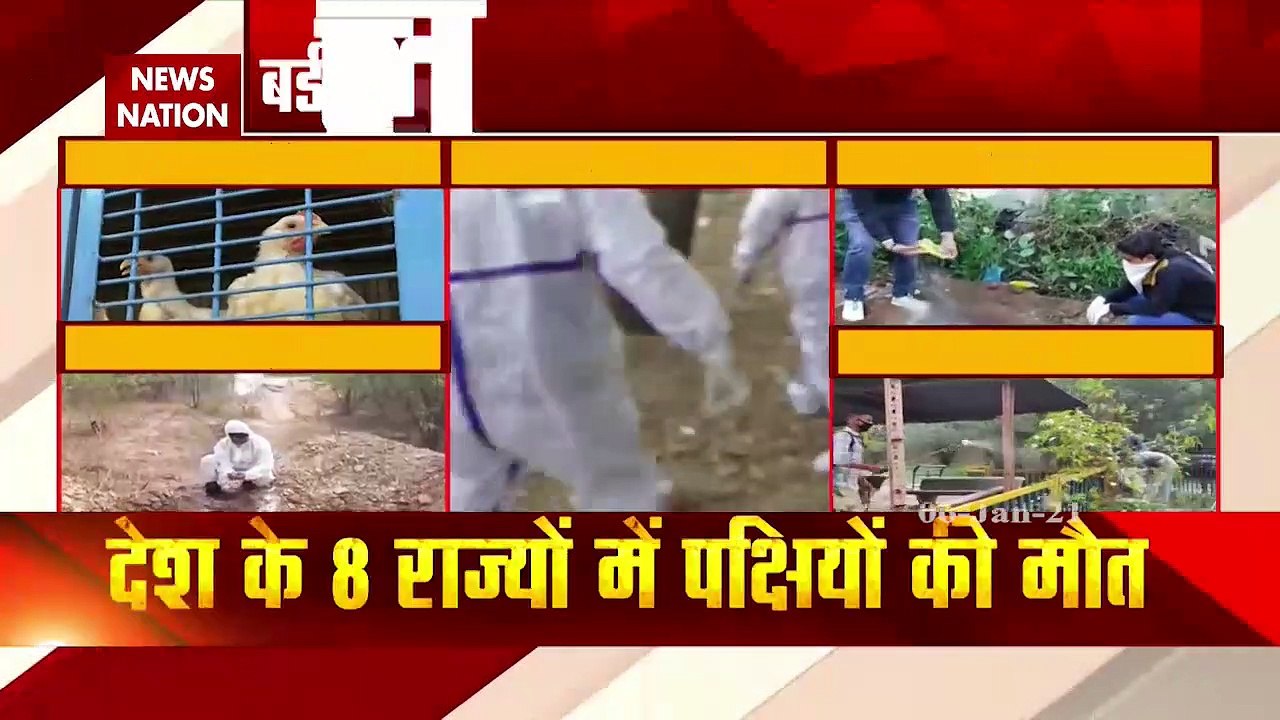 Kerala government orders to kill ten thousands birds in Bird Flu fear