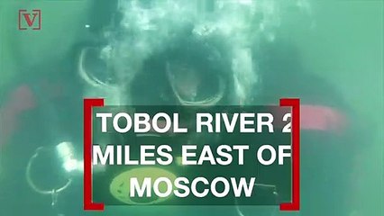 Divers Find Ancient Bones Under Frozen River