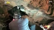 The Moment This Deaf Dog Was Found