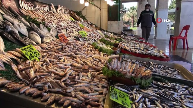 “Balıkçı esnafı olarak küçük hamsi satılmasına karşıyız”