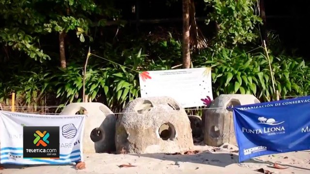 tn7-arrecifes-artificiales-serviran-de-hogar-para-miles-de-especies-en-puntarenas-060121