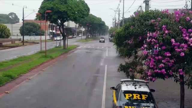 Em primeira grande apreensão do ano, PRF retirou de circulação 1,5 tonelada de maconha em Toledo