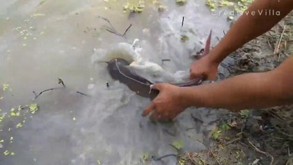 Fishing ideas and techniques | CreativeVilla.