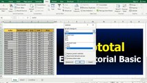 18 Excel Tutorial Basic - SUBTOTAL And Function Subtotal
