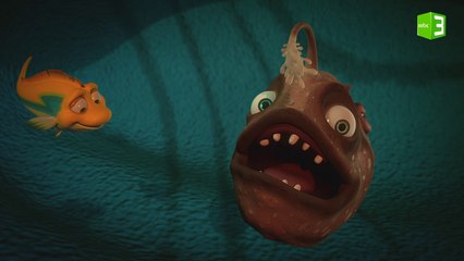 خوف سبلاش بسبب الزلزال