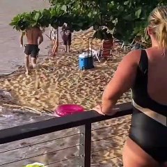 Le surfeur Mikey Wright sauve une femme  (Hawaï)