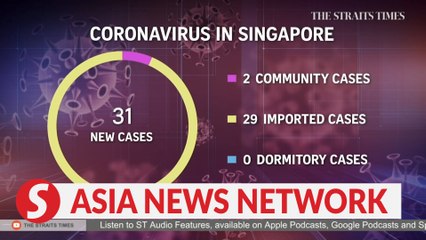 Download Video: The Straits Times | 31 new Covid-19 cases confirmed in Singapore