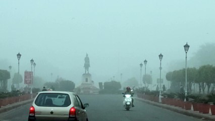 10 जिलों में कोहरे से घने कोहरे और शीतलहर का यलो अलर्ट
