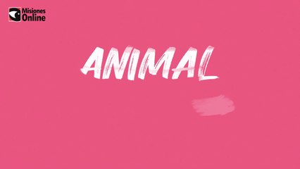 Primer Ping Pong de Animal Político