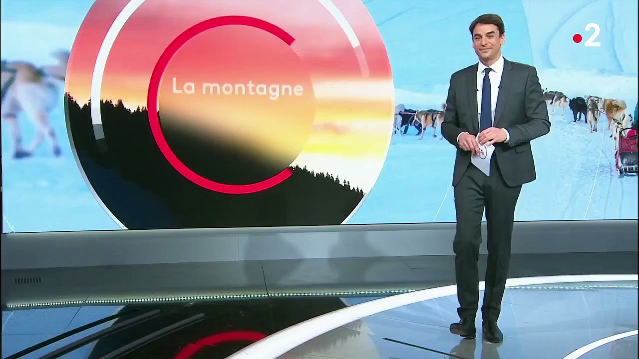 Montagne : une balade avec des chiens de traîneaux