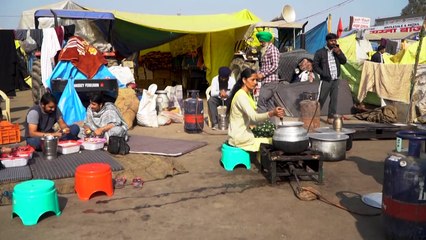 Inde: des milliers de femmes apportent leur voix à la contestation agricole