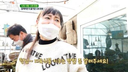 형님~ (づ￣ ³￣)づ 다육이 키우는 방법 좀 알려주세요