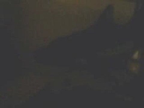 LETTRE DU FRONT INTERPRETEY PAR MOI xD