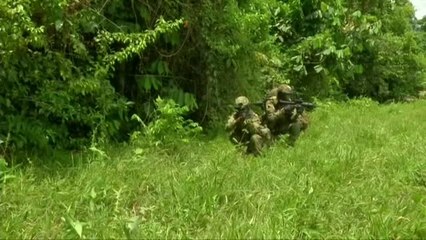 Los grupos armados ilegales de Colombia perdieron más de 5.000 miembros en 2020