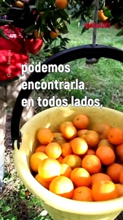 La mejor fruta para esta temporada.