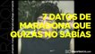 Top 7: datos y curiosidades que no sabías de Diego Maradona