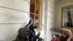 Des partisans pro-Trump tentent de rentrer dans le Capitole