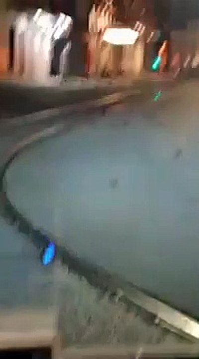 Oiseaux morts à cause des feux d'artifice du Nouvel An (Rome)