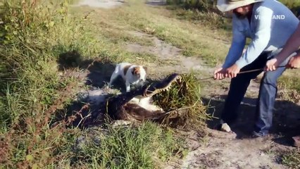 Dead Set On Life - Se3 - Ep2 - The BBQ King of Hollywood